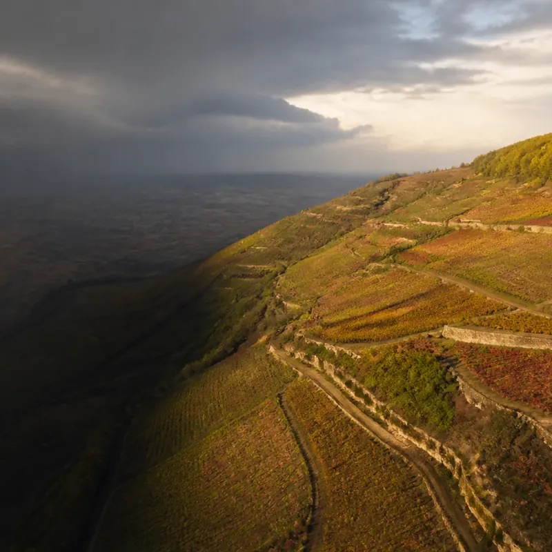 climats de Bourgogne, parcelles et terroir en coteaux