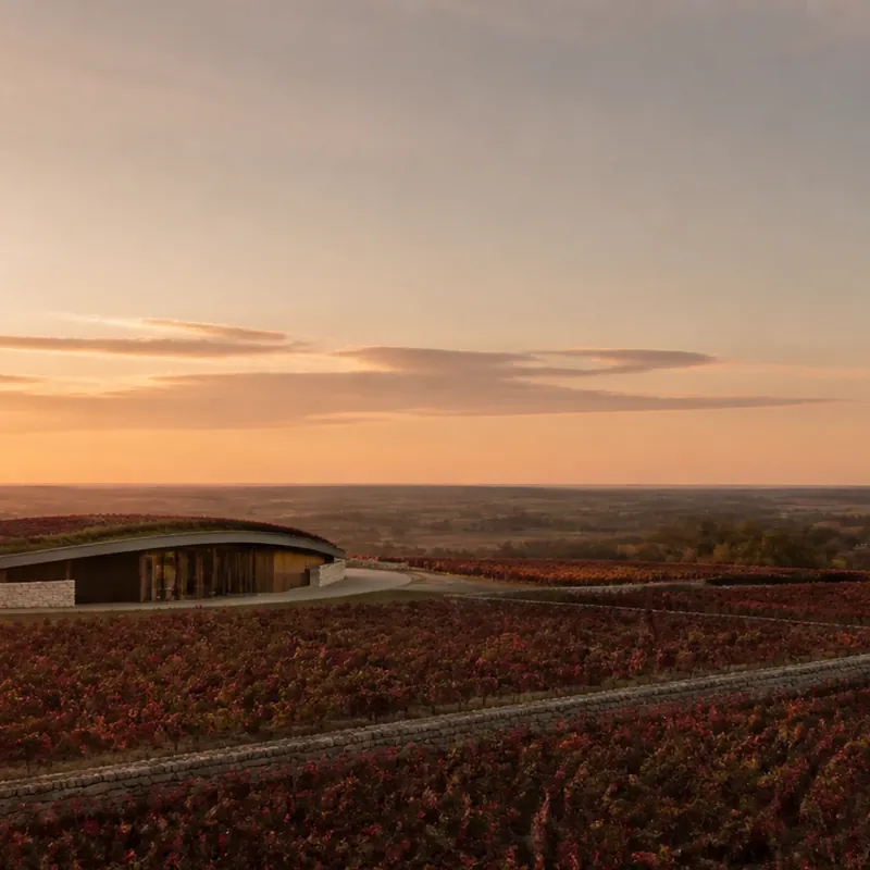grand vin de Chassagne-Montrachet, coteaux de la Côte de Beaune