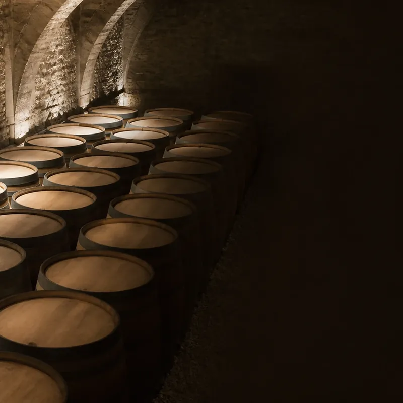 accords mets et vins de Bourgogne, cave et élevage en fût