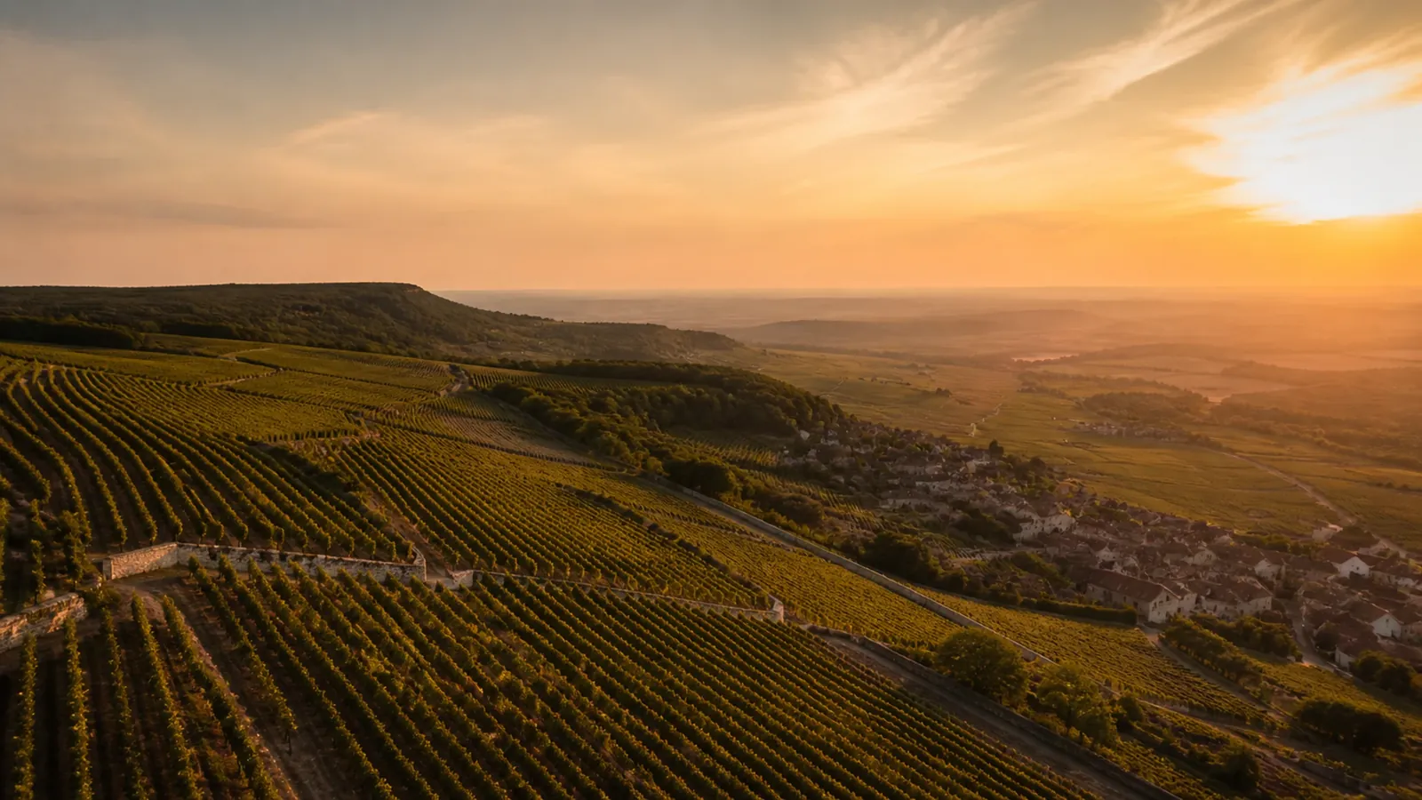 grand vin de Mercurey, vignoble de la Côte Chalonnaise