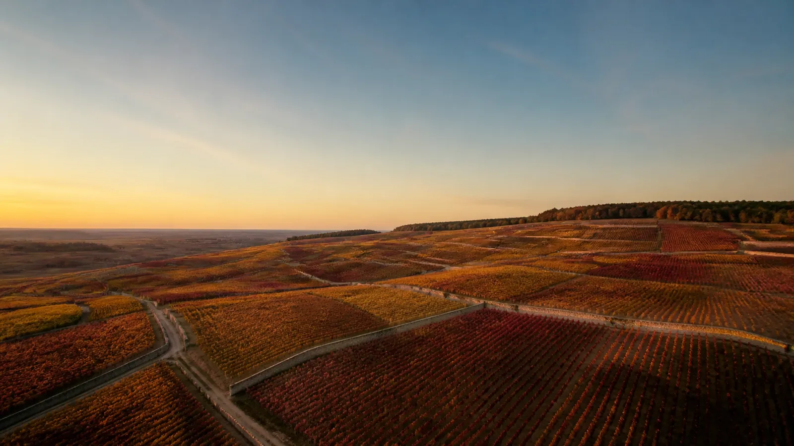 grand vin de Santenay, vignoble du sud de la Côte de Beaune