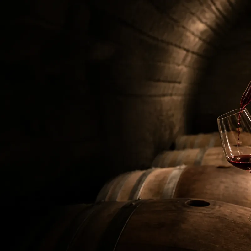 grand vin de Gevrey-Chambertin, cave et élevage en fût de chêne