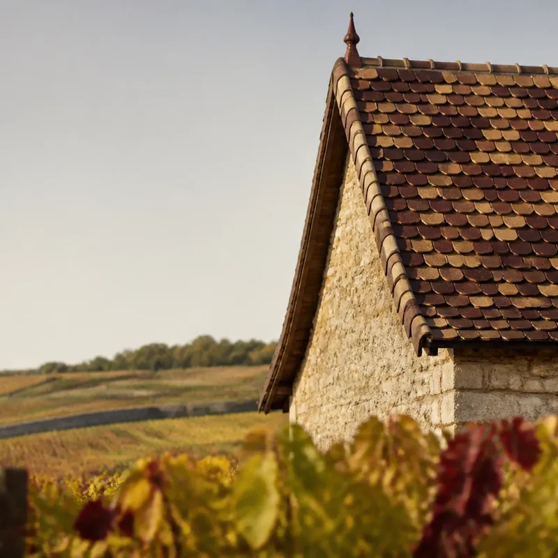 grand vin de la Côte de Nuits, climats et parcelles de pinot noir