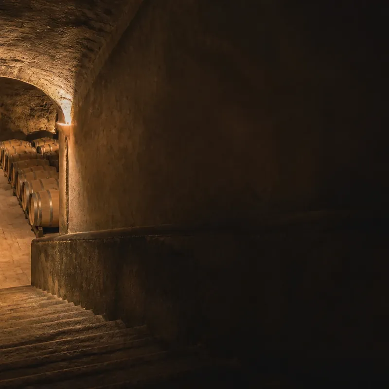 grand vin de Nuits-Saint-Georges, cave et fûts d'élevage